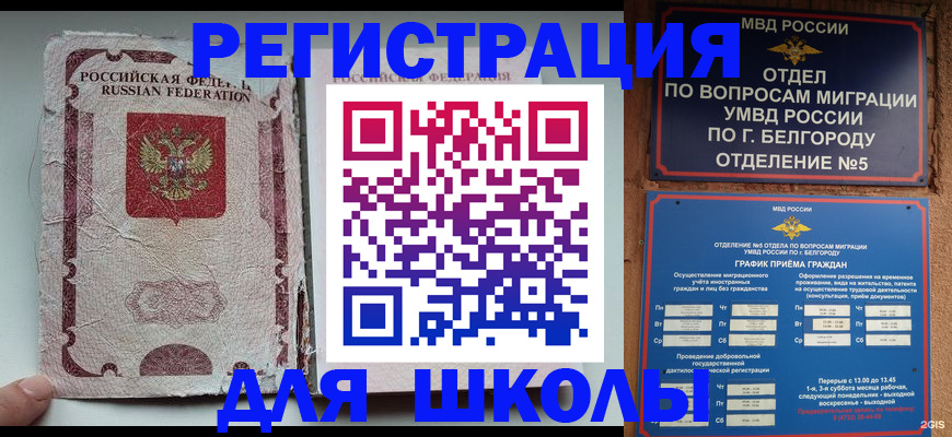 прописка гарантия в Шатуре